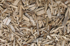 biomass boilers Wyddial